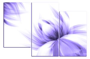 Obraz na plátně - Elegantní květ 1147VC (120x80 cm)