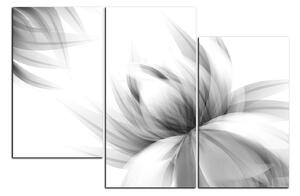 Obraz na plátně - Elegantní květ 1147QC (150x100 cm)