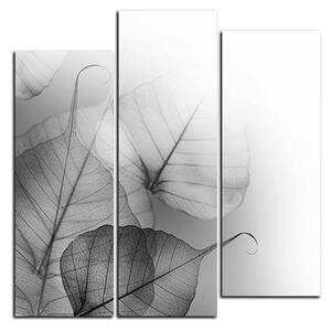 Obraz na plátně - Květinové listy - čtverec 3149QC (75x75 cm)