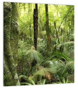 Obraz Tropický deštný prales (30x30 cm)