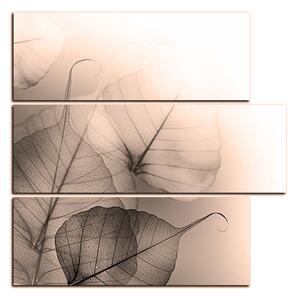 Obraz na plátně - Květinové listy - čtverec 3149FD (75x75 cm)
