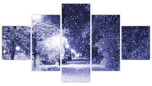 Obraz - Kouzelná zimní noc (125x70 cm)