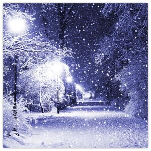 Obraz - Kouzelná zimní noc (30x30 cm)
