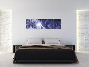 Obraz - Kouzelná zimní noc (170x50 cm)