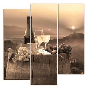 Obraz na plátně - Láhev vína na vinici - čtverec 3152FD (75x75 cm)