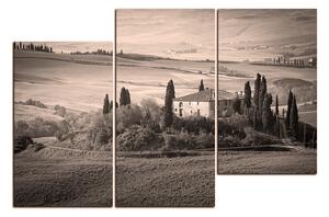Obraz na plátně - Italská venkovská krajina 1156QD (90x60 cm)