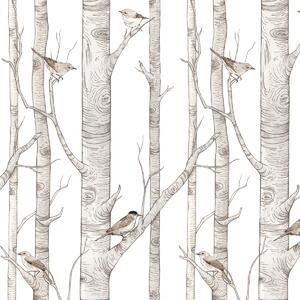 Dekornik Tapeta na zeď Birch Forest, 50x280 cm