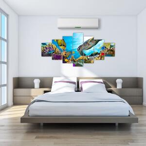 Obraz korálového útesu (210x100 cm)