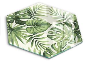 Skleněná deska do kuchyně Ilustrace monstera listy