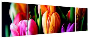 Obraz tulipánů na černém pozadí (170x50 cm)