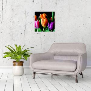 Obraz tulipánů na černém pozadí (30x30 cm)