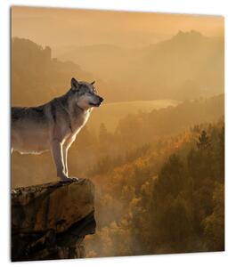 Obraz vlka na skále (30x30 cm)