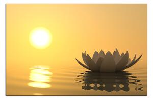 Obraz na plátně - Zen lotus 1167A (60x40 cm)