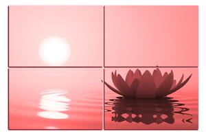 Obraz na plátně - Zen lotus 1167CD (120x80 cm)