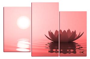 Obraz na plátně - Zen lotus 1167CC (105x70 cm)
