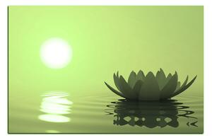 Obraz na plátně - Zen lotus 1167ZA (60x40 cm)