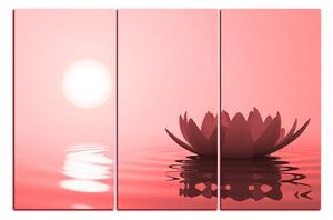 Obraz na plátně - Zen lotus 1167CB (150x100 cm)