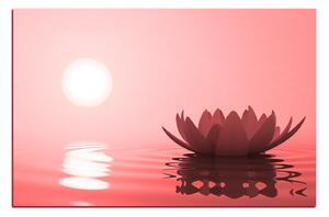 Obraz na plátně - Zen lotus 1167CA (90x60 cm )