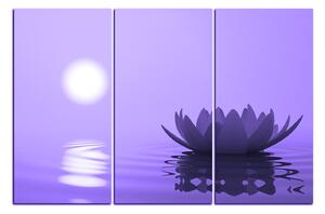 Obraz na plátně - Zen lotus 1167VB (150x100 cm)