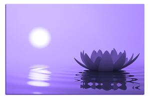 Obraz na plátně - Zen lotus 1167VA (90x60 cm )