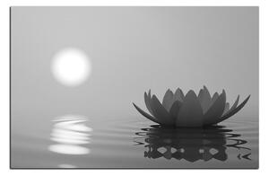Obraz na plátně - Zen lotus 1167QA (60x40 cm)