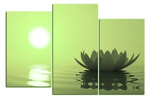 Obraz na plátně - Zen lotus 1167ZC (90x60 cm)