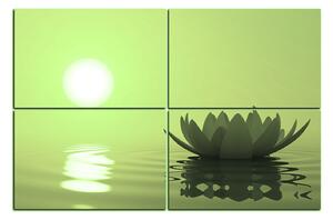 Obraz na plátně - Zen lotus 1167ZD (150x100 cm)