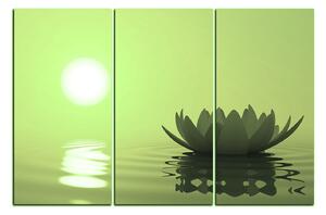 Obraz na plátně - Zen lotus 1167ZB (90x60 cm )