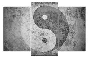 Obraz na plátně - Jin a jang symbol 1170QC (90x60 cm)