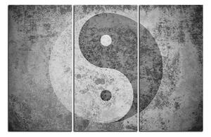 Obraz na plátně - Jin a jang symbol 1170QB (150x100 cm)