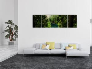 Obraz - Průzor mezi stromy (170x50 cm)