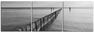 Obraz na plátně - Vlnolam - panoráma 5143QB (120x40 cm)