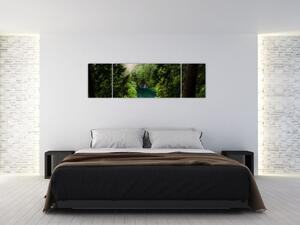 Obraz - Průzor mezi stromy (170x50 cm)