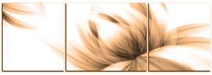 Obraz na plátně - Elegantní květ - panoráma 5147FC (150x50 cm)