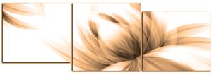 Obraz na plátně - Elegantní květ - panoráma 5147FD (150x50 cm)
