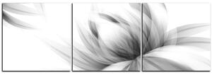 Obraz na plátně - Elegantní květ - panoráma 5147QB (90x30 cm)