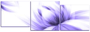 Obraz na plátně - Elegantní květ - panoráma 5147VD (150x50 cm)