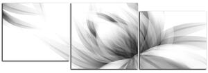 Obraz na plátně - Elegantní květ - panoráma 5147QD (90x30 cm)