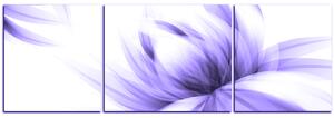 Obraz na plátně - Elegantní květ - panoráma 5147VC (150x50 cm)