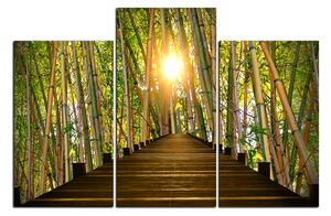 Obraz na plátně - Dřevěná promenáda v bambusovém lese 1172D (90x60 cm)