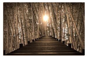 Obraz na plátně - Dřevěná promenáda v bambusovém lese 1172FA (100x70 cm)