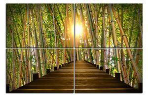 Obraz na plátně - Dřevěná promenáda v bambusovém lese 1172E (150x100 cm)