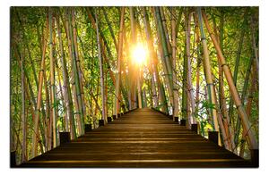 Obraz na plátně - Dřevěná promenáda v bambusovém lese 1172A (60x40 cm)