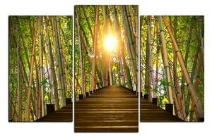 Obraz na plátně - Dřevěná promenáda v bambusovém lese 1172C (90x60 cm)