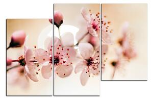 Obraz na plátně - Malé květy na větvi 1173D (150x100 cm)