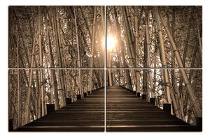 Obraz na plátně - Dřevěná promenáda v bambusovém lese 1172FE (120x80 cm)