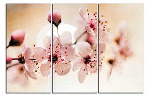 Obraz na plátně - Malé květy na větvi 1173B (90x60 cm )