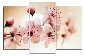 Obraz na plátně - Malé květy na větvi 1173C (120x80 cm)