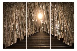 Obraz na plátně - Dřevěná promenáda v bambusovém lese 1172FB (90x60 cm )