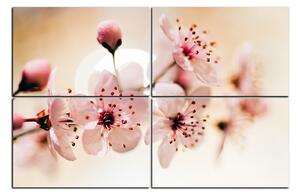 Obraz na plátně - Malé květy na větvi 1173E (150x100 cm)
